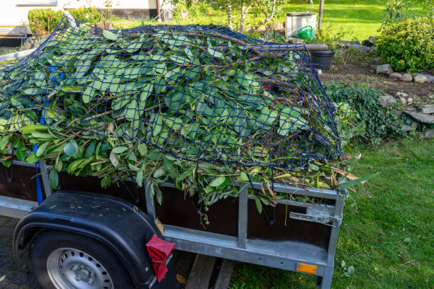 Best Shed Removal  in New Ellenton, SC